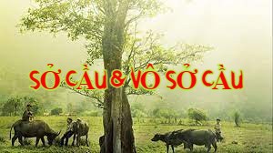 Cầu & Vô Sở Cầu Theo Quan Điểm Phật Giáo (Song ngữ Vietnamese-English )