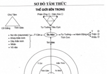 Sơ Đồ Vận Hành Của Tâm Thức Con Người