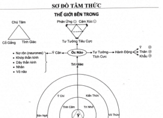 Sơ Đồ Vận Hành Của Tâm Thức Con Người
