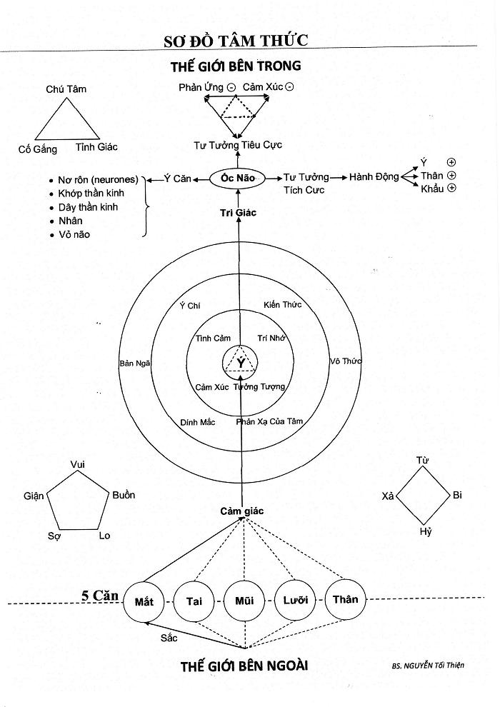 SƠ ĐỒ Tâm thức