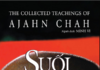 Audio Book Suối Nguồn Tâm Linh