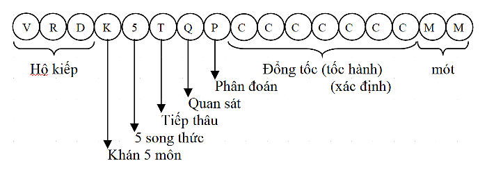 tam thuc