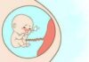 Quan Điểm Của Phật Giáo Về Phá Thai