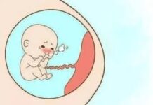 Quan Điểm Của Phật Giáo Về Phá Thai