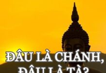 Đâu là chánh, đâu là tà?