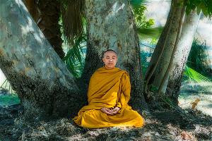thich giac chinh 2