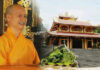 Không nương tựa