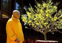 Hòa thượng thích Thanh Từ: “Nhắc Nhở Đầu Năm”