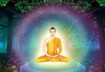 Con Đường Tỉnh Thức Phật, Tổ Và Bồ-tát