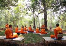 Làm thế nào để thực hành Tâm từ bi (Song ngữ Vietnamese-English)