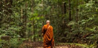 Lợi ích của sự biết đủ