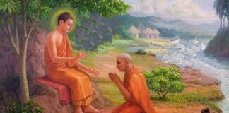 Ai lấy đức tin của con?