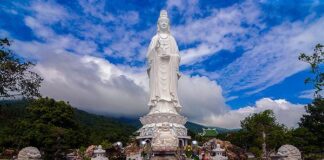 Hạnh lắng nghe