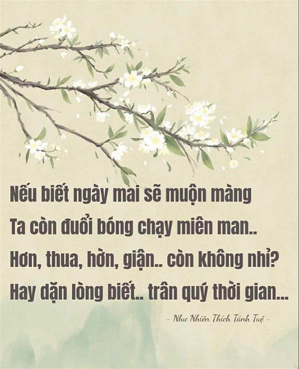 tran quy thoi gian