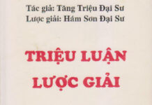 Triệu Luận Lược Giải
