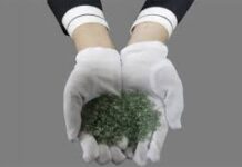 Chỉ là một nắm tro