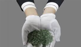 Chỉ là một nắm tro