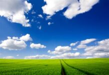 Bilingual: Let go of thoughts, and live with a righteous mind / Buông xả suy tư, sống tâm chánh thiện