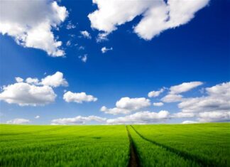 Bilingual: Let go of thoughts, and live with a righteous mind / Buông xả suy tư, sống tâm chánh thiện