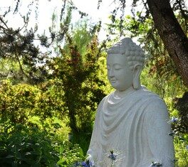 Bụt có một người yêu: “Người yêu cô đơn”