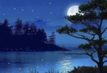 Bilingual: There’s A Moon / Có Một Vầng Trăng
