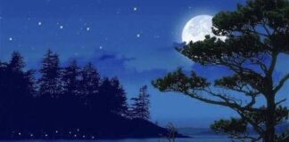 Bilingual: There’s A Moon / Có Một Vầng Trăng