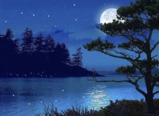 Bilingual: There’s A Moon / Có Một Vầng Trăng