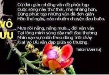 Chấp Là Gốc Đấu Tranh, Là Nguồn Đau Khổ