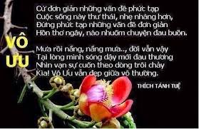 Chấp Là Gốc Đấu Tranh, Là Nguồn Đau Khổ