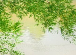 Biết Sống Tùy Duyên