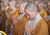 Các tướng trạng của việc xuất gia