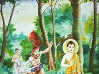 Mười lý do nên tu tập từ bi quán