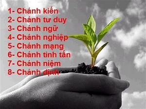 Bát Chánh Đạo Bát Chánh Đạo