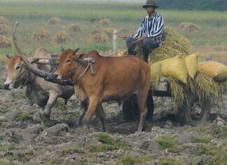 Sau những bữa ngon…