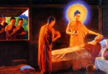 Phước báo chăm sóc người bệnh