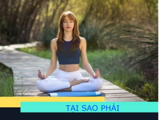 Tại Sao Phải Chánh Niệm Về Cảm Thọ?