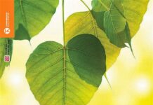 Sách mới: Chánh niệm thực tập thiền quán