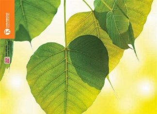 Sách mới: Chánh niệm thực tập thiền quán
