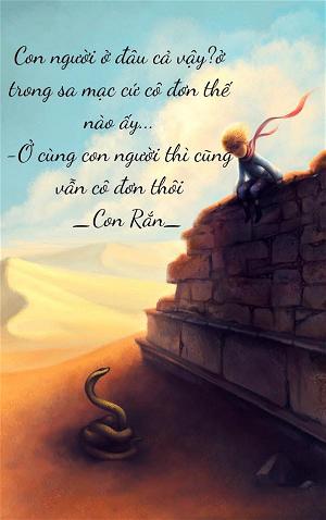 cojn nguoi