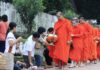 Tu Hành Theo Quan Điểm Phật Giáo (Song ngữ Vietnamese-English PDF)