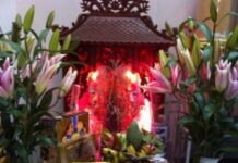 Từ Lời Phật Dạy Trong Kinh Trường Bộ Nghĩ Về Việc Cầu, Cúng Thần Tài.