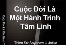 Cuộc đời là một hành trình tâm linh