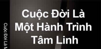 Cuộc đời là một hành trình tâm linh