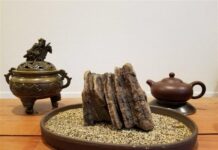 Mỗi ngày một câu chuyện thiền: rác là chất liệu của thiền: vẻ đẹp uyên nguyên đầy nhựa sống