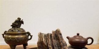 Mỗi ngày một câu chuyện thiền: rác là chất liệu của thiền: vẻ đẹp uyên nguyên đầy nhựa sống
