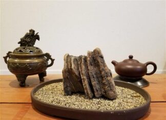 Mỗi ngày một câu chuyện thiền: rác là chất liệu của thiền: vẻ đẹp uyên nguyên đầy nhựa sống