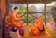 Nhân quả qua một câu chuyện