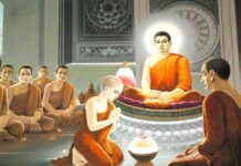 Trước lời khen chê