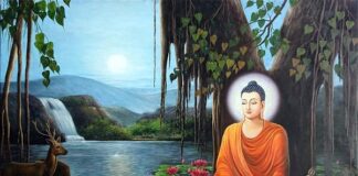 Lợi ích của Thiền