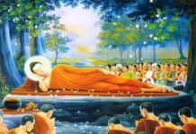 Ngoài tám thánh đạo không có quả vị Sa-môn